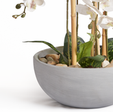 Orchids In Grey Pot - Medium